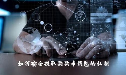 如何安全提取狗狗币钱包的私钥