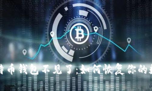 我的比特币钱包不见了：如何恢复你的数字财富