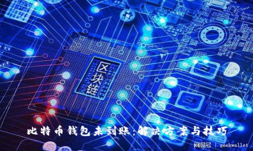 比特币钱包未到账：解决方案与技巧