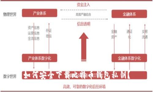 如何安全下载比特币钱包私钥？