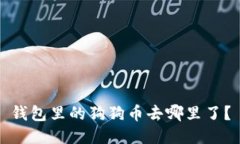 钱包里的狗狗币去哪里了？
