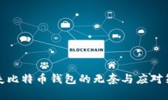 丢失比特币钱包的无奈与应对策略