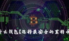 : LTC放什么钱包？选择最安全的莱特币钱包指南