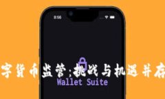 加密数字货币监管：挑战与机遇并存的未来