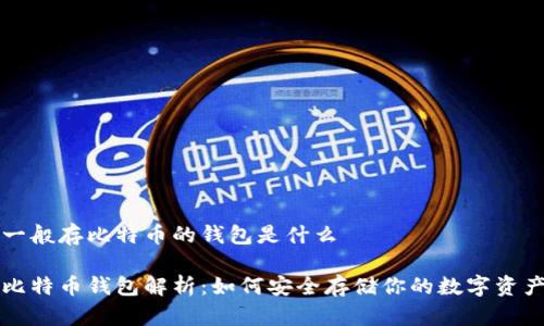 一般存比特币的钱包是什么

比特币钱包解析：如何安全存储你的数字资产