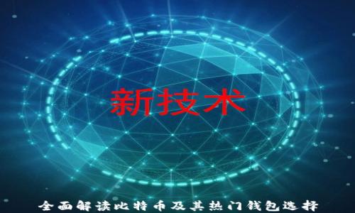 
全面解读比特币及其热门钱包选择