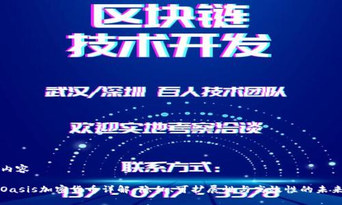 内容

Oasis加密货币详解：隐私、可扩展性与高效性的未来