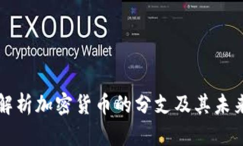 深入解析加密货币的分支及其未来发展