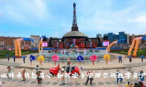 比特币钱包简介：如何安全管理你的数字资产